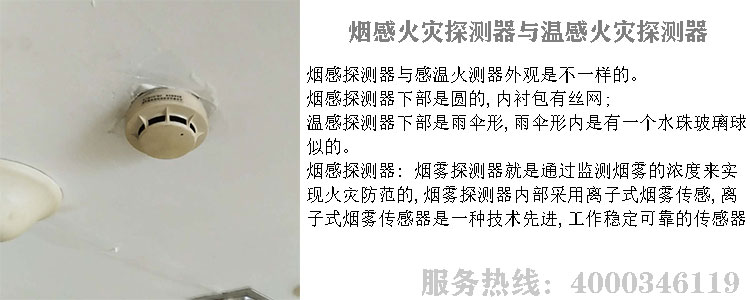 ����̽�y��